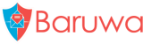 HostOnline.dk